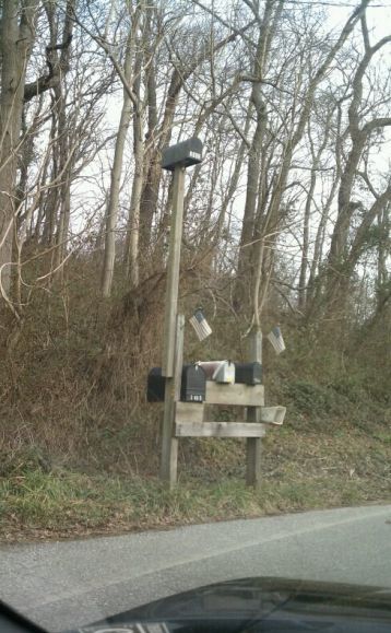 Прикольные картинки (150 фото)