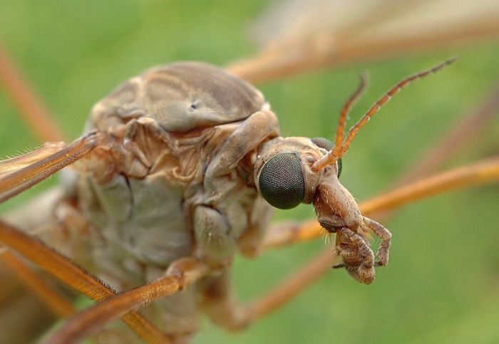 Прикольные картинки (84 фото)