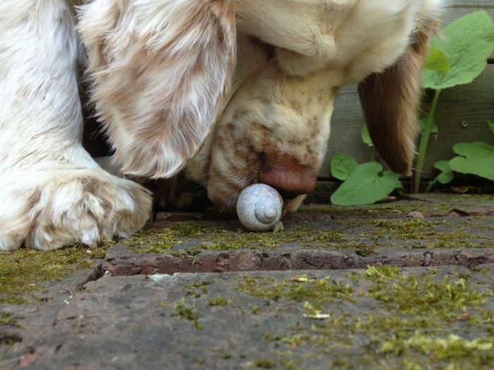 Прикольные картинки (103 фото)