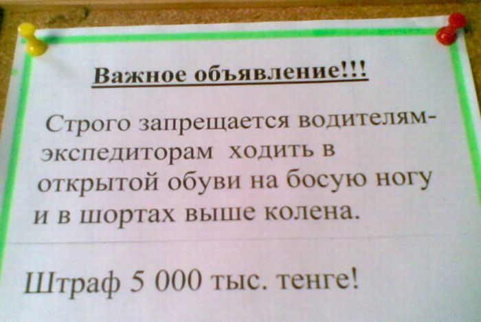 Прикольные картинки (103 фото)