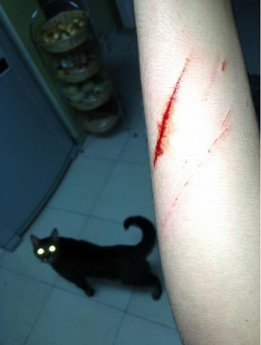 Прикольные картинки (103 фото)