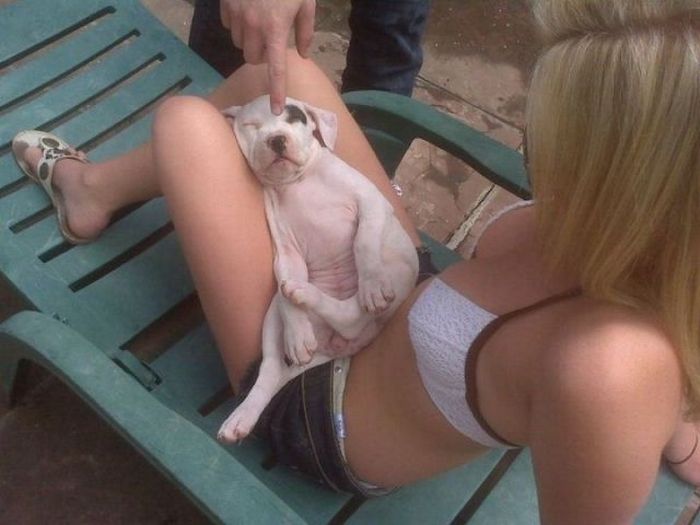 Прикольные картинки (103 фото)