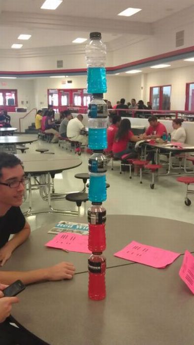 Прикольные картинки (103 фото)