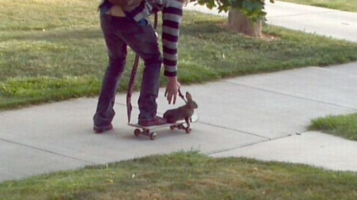 Прикольные картинки (103 фото)