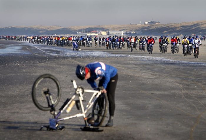 Прикольные картинки (103 фото)