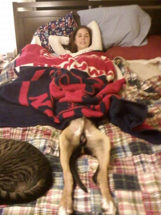 Прикольные картинки (103 фото)