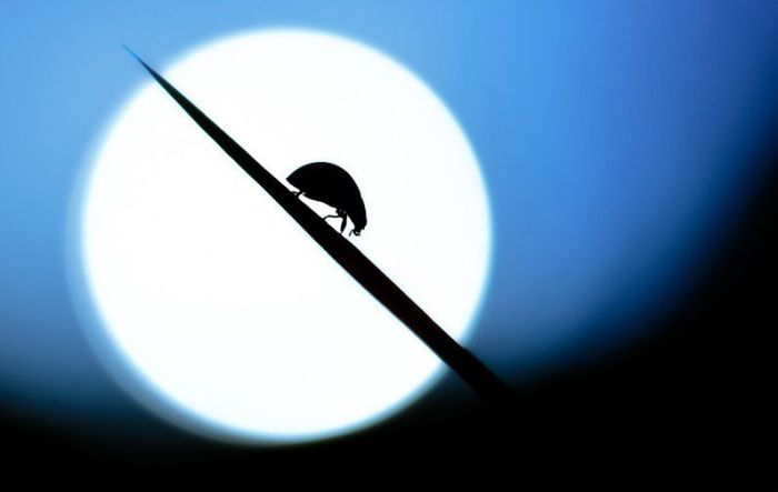 Прикольные картинки (94 фото)