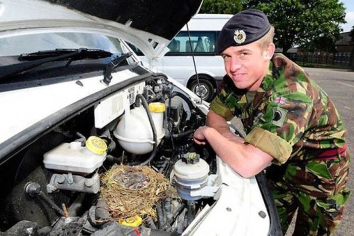 Прикольные картинки (94 фото)