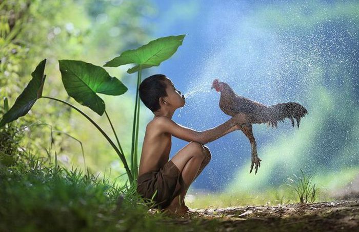 Прикольные картинки (85 фото)