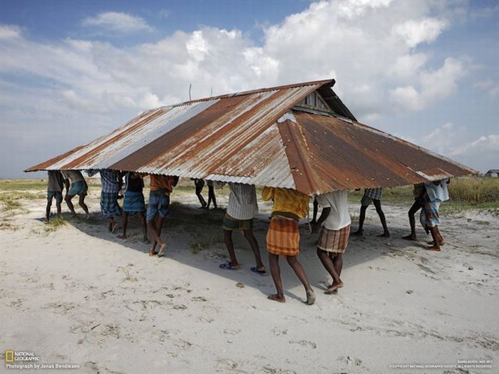 Прикольные картинки (85 фото)