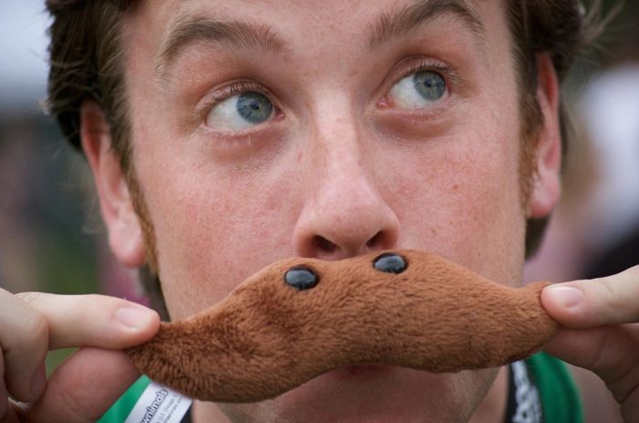 Прикольные картинки (85 фото)