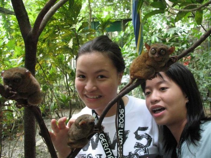 Прикольные картинки (135 фото)