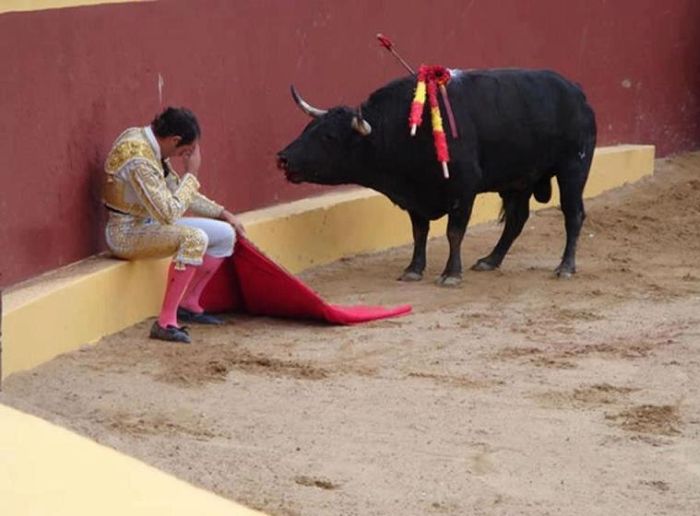 Прикольные картинки (135 фото)