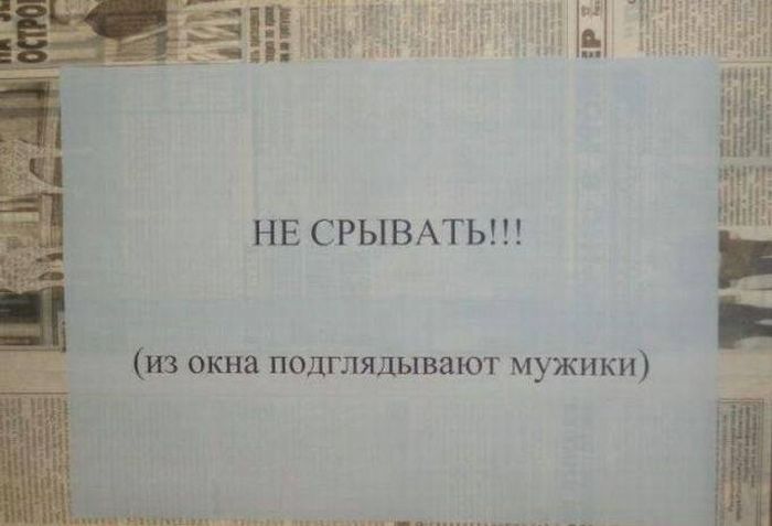 Прикольные картинки (135 фото)