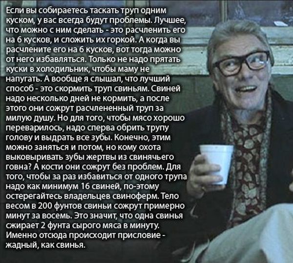 Прикольные картинки (135 фото)