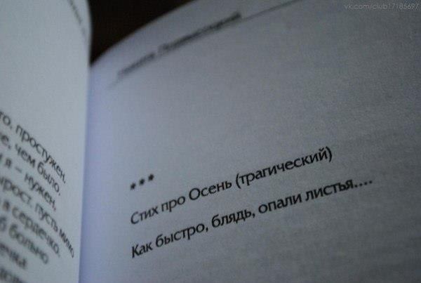 Прикольные картинки (135 фото)