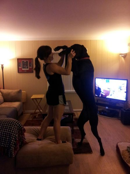 Прикольные картинки (135 фото)