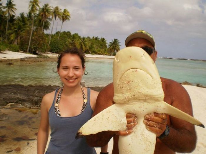 Прикольные картинки (135 фото)