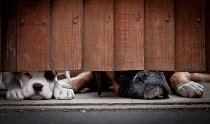 Прикольные картинки (135 фото)