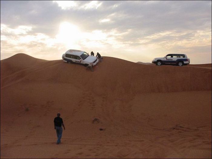 Прикольные картинки (135 фото)