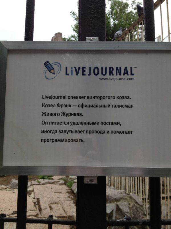 Прикольные картинки (135 фото)