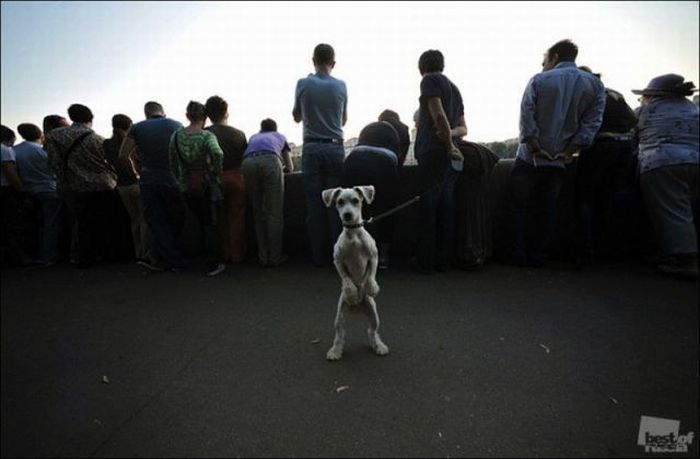 Прикольные картинки (80 фото)