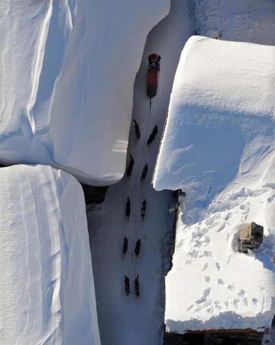 Прикольные картинки (80 фото)