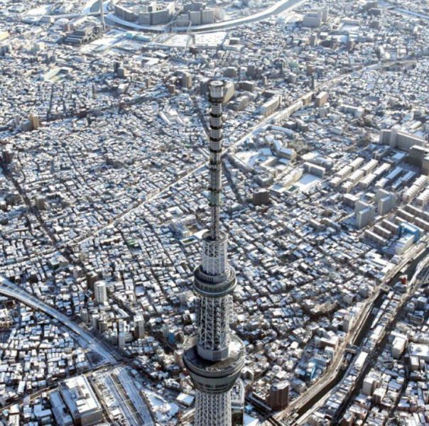 Прикольные картинки (80 фото)