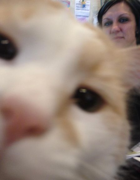 Прикольные картинки (80 фото)