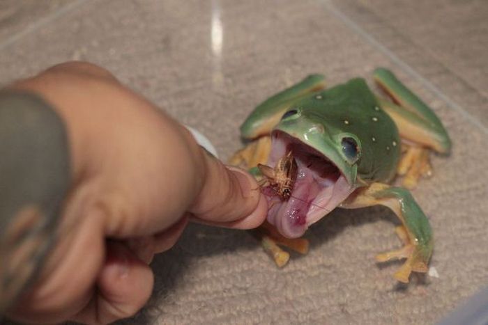 Прикольные картинки (177 фото)