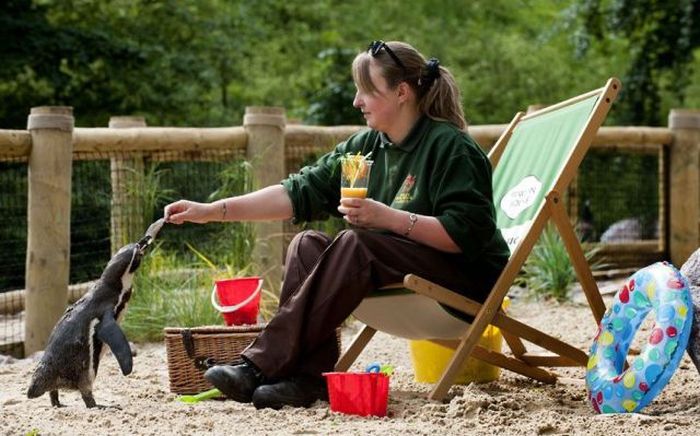 Прикольные картинки (177 фото)