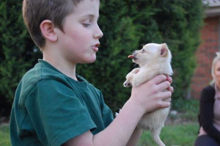 Прикольные картинки (177 фото)