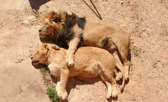 Прикольные картинки (177 фото)