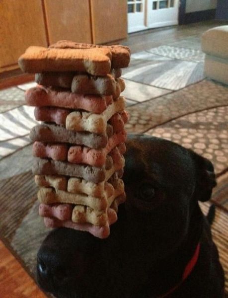 Прикольные картинки (177 фото)