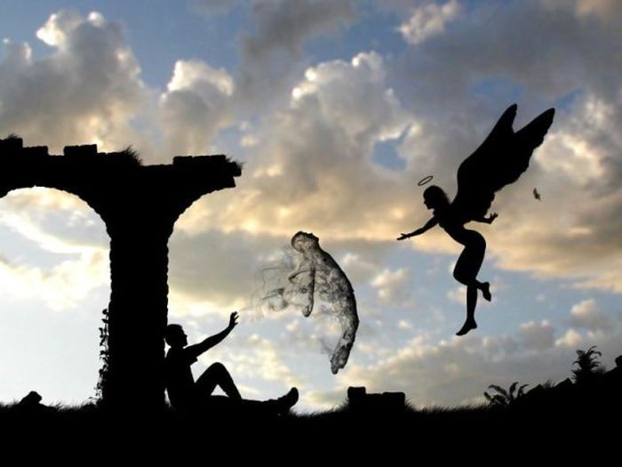 Прикольные картинки (177 фото)