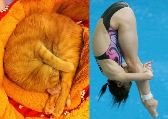 Прикольные картинки (177 фото)