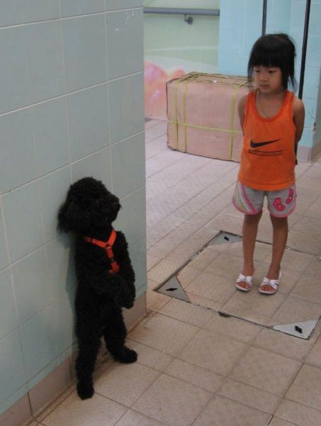 Прикольные картинки (177 фото)