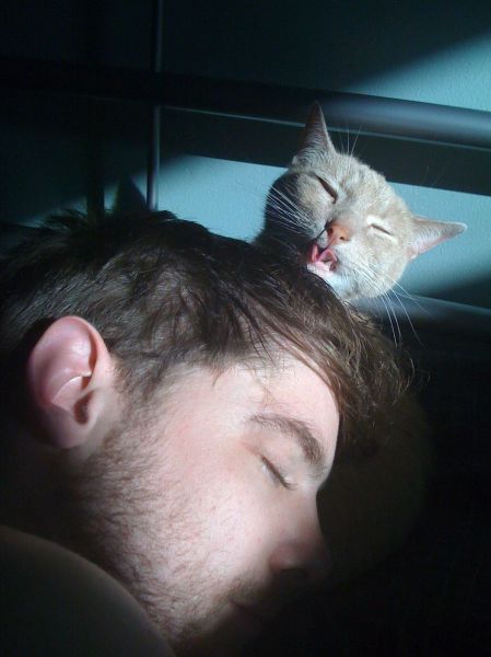 Прикольные картинки (177 фото)