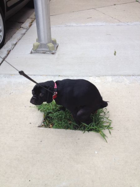 Прикольные картинки (177 фото)