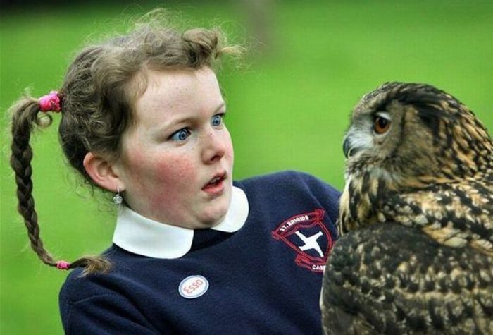 Прикольные картинки (177 фото)