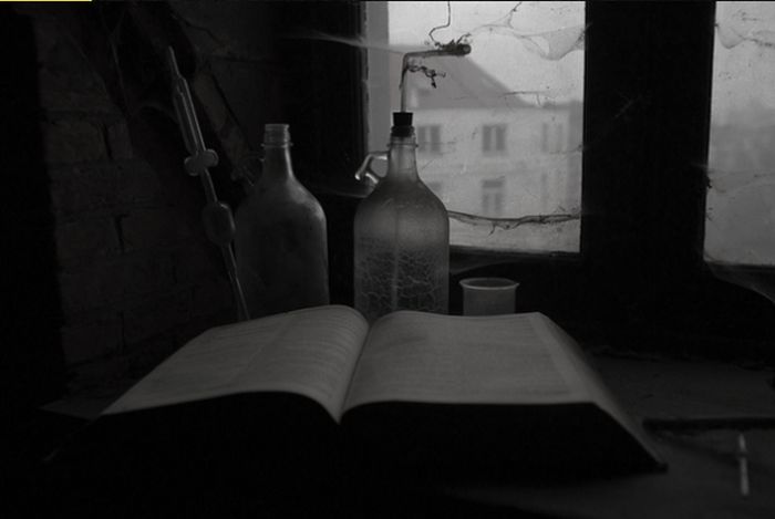 Заброшенная ветеринарная школа в Брюсселе (22 фото)