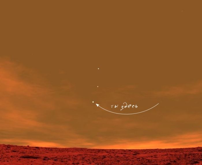 Прикольные картинки (151 фото)