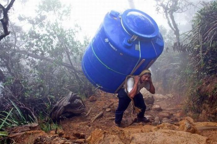 Прикольные картинки (151 фото)