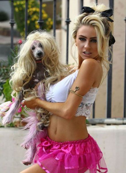 Прикольные картинки (151 фото)