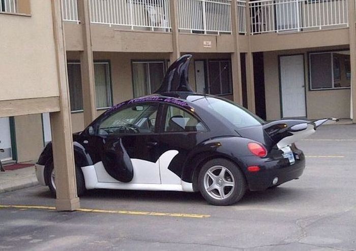 Прикольные картинки (151 фото)