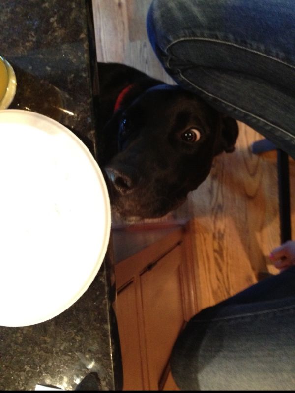 Прикольные картинки (117 фото)