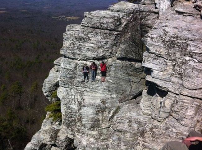 Прикольные картинки (117 фото)