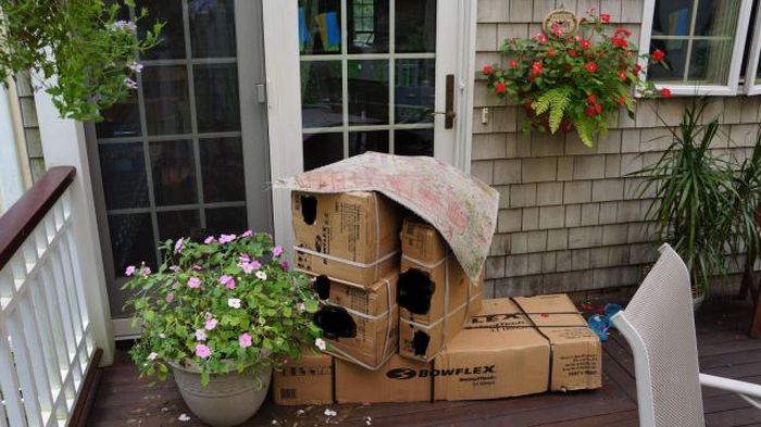 Прикольные картинки (112 фото)