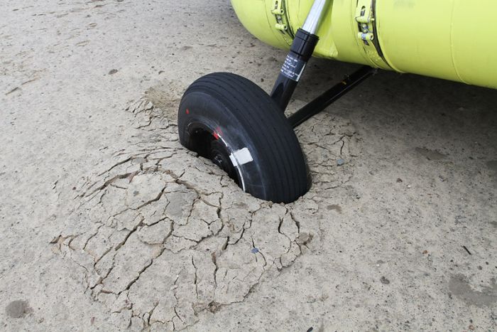 Прикольные картинки (112 фото)