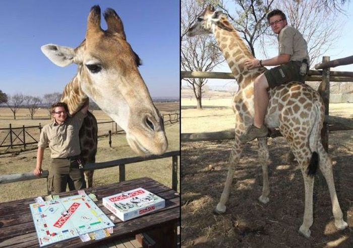 Прикольные картинки (133 фото)